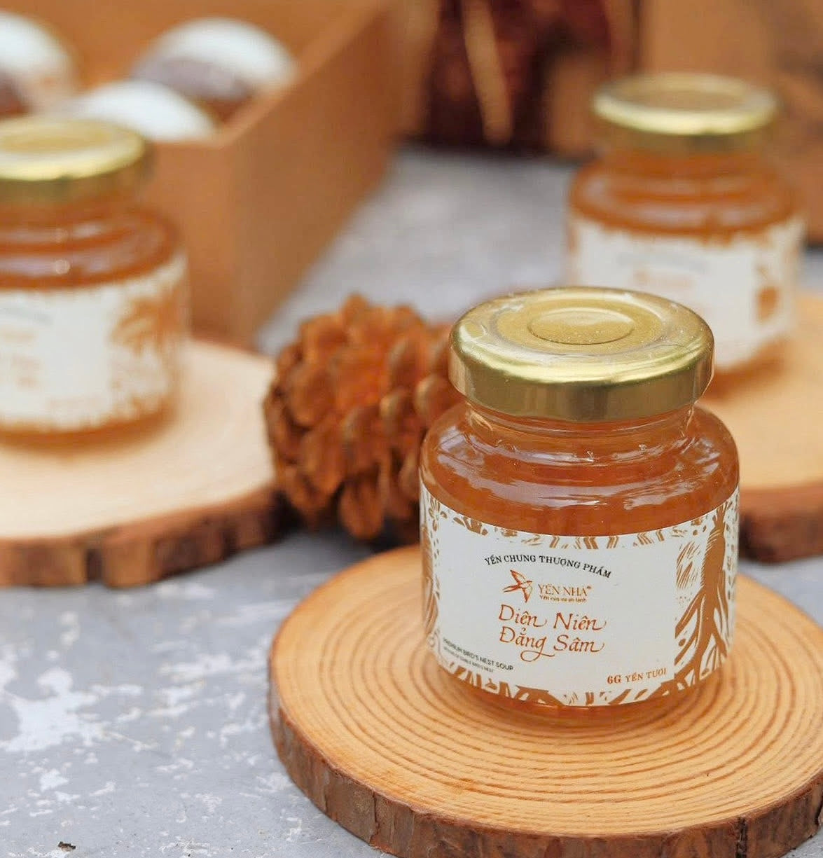 Yến Nhà - Diên Niên Đẳng Sâm | Codonopsis Pilosula – Longevity Herb