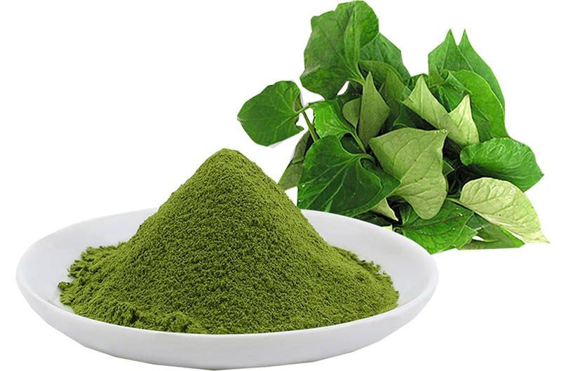 Viet Gourmet - Bột Diếp Cá | Houttuynia Cordata Powder [bag/85gr]