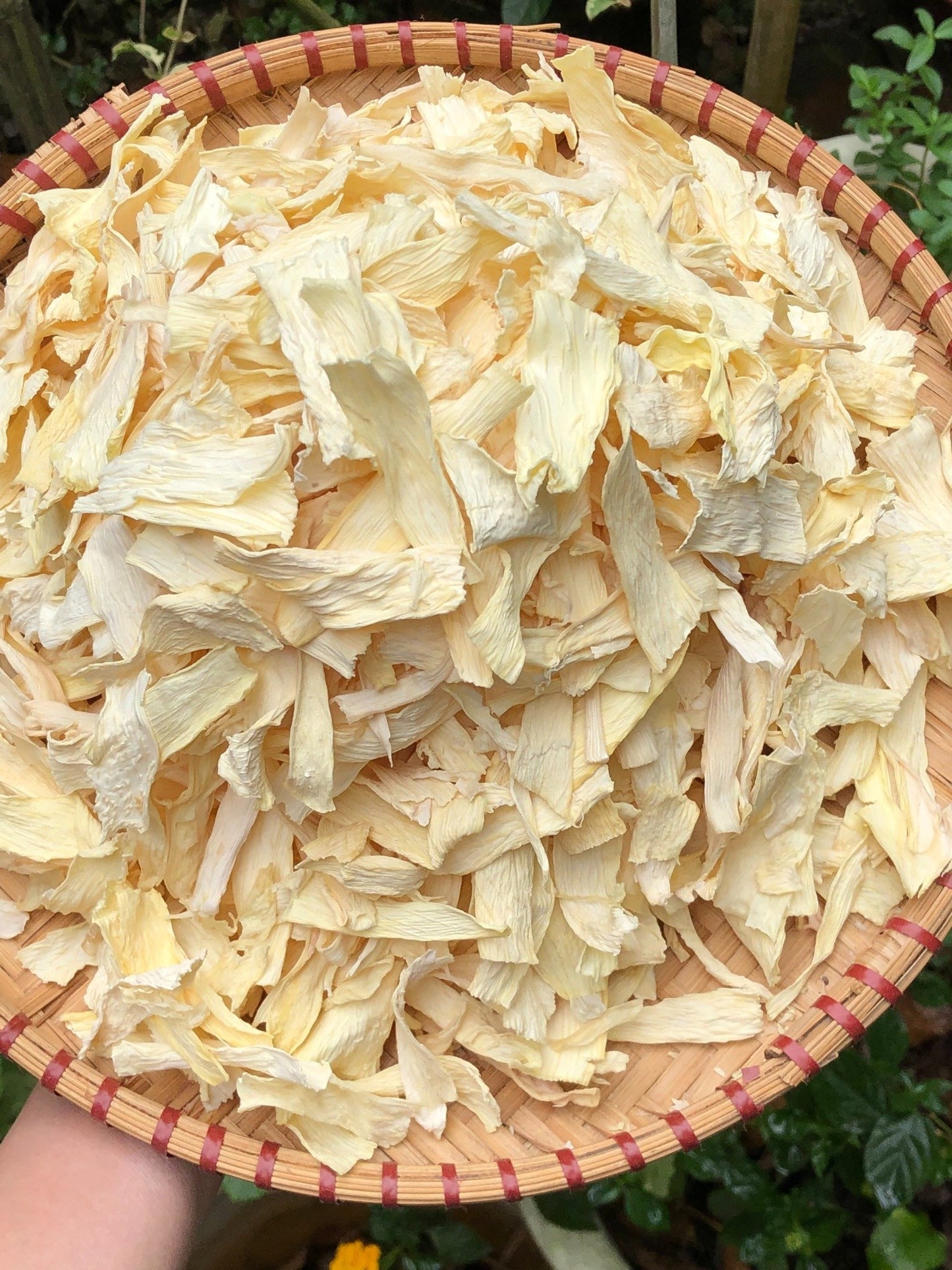 Viet Gourmet - Củ Hủ Dừa Sấy Khô | Dried Coconut Palm Heart